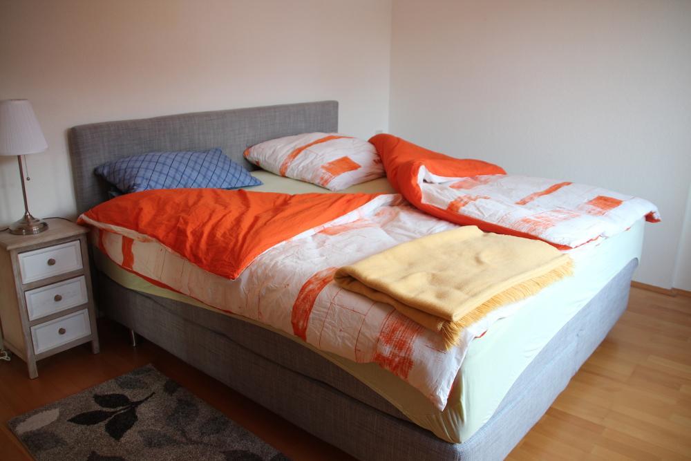 Apartment Am Fluss/Park Lipsk Zewnętrze zdjęcie